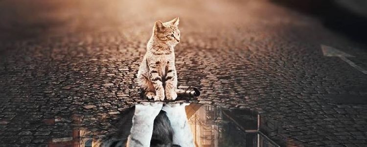 Resursele sunt în interiorul tău!