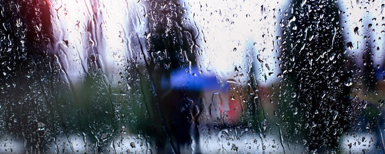 Ploaia caldă de vară