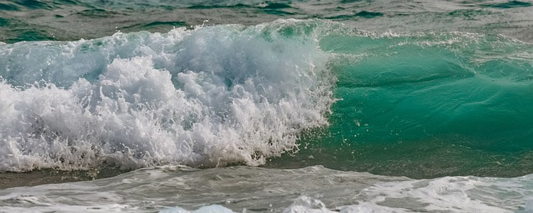 Voi fi… pentru că… Voi fi… pentru că…