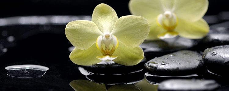 Minunea este în tine și în oamenii buni de lângă sufletul tău… Minunea este în tine și în oamenii buni de lângă sufletul tău…