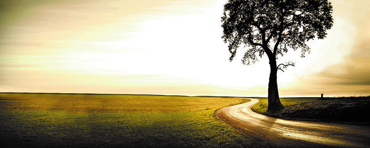 Drum bun… Drum bun…